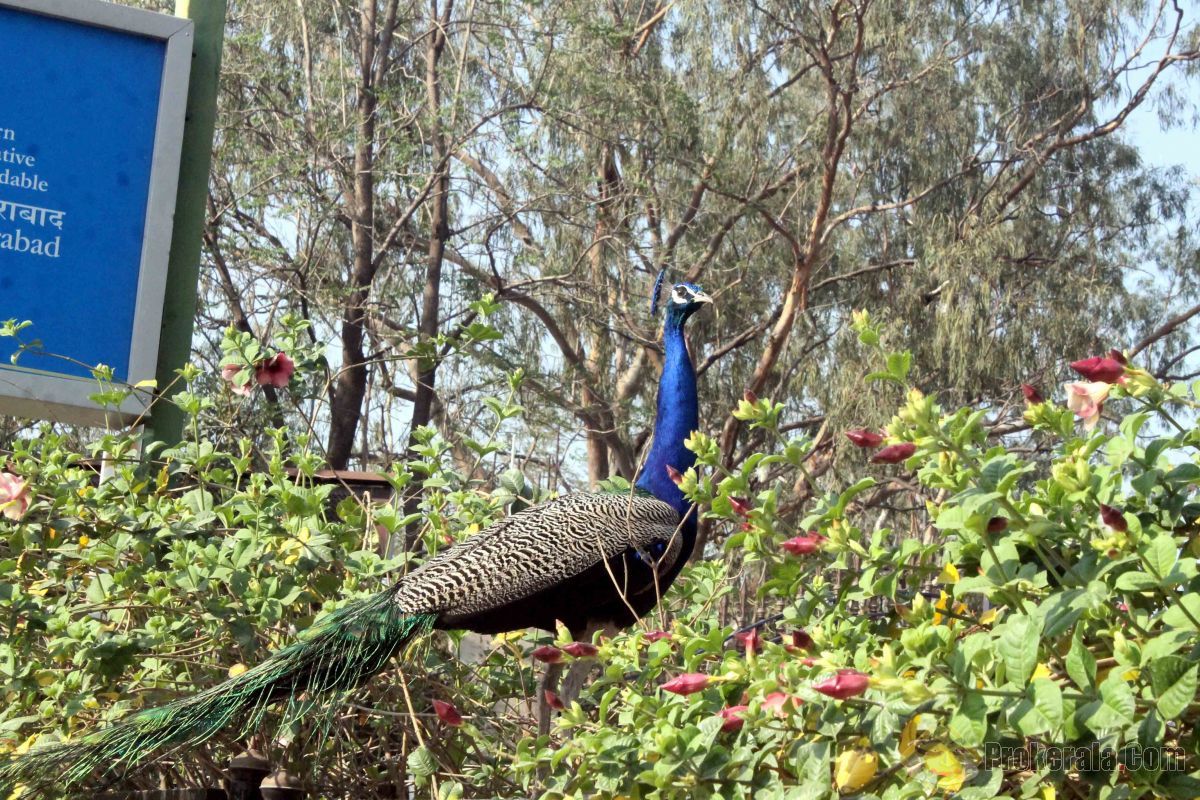KBR park