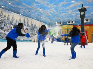 snow-kingdom