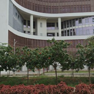 iiT hyderabad